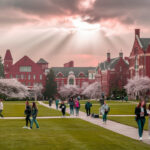 Application Process for University of Washington